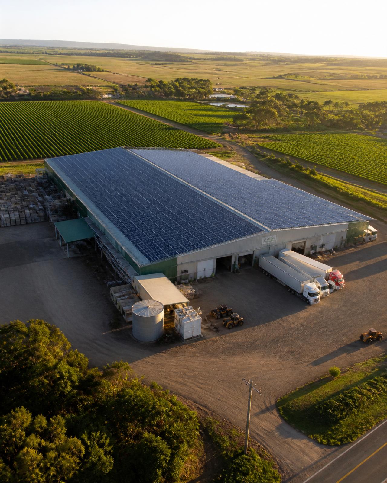 Aerial photo of a Queensland agribusiness pack shed roof covered in solar panels